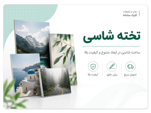 تخته شاسی